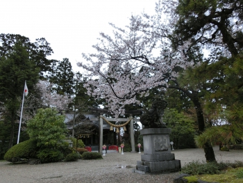 ファイル名: CIMG0156.jpg
ファイルサイズ: 100KB CIMG0156