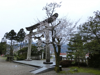 ファイル名: CIMG0157.jpg
ファイルサイズ: 90.8KB CIMG0157
