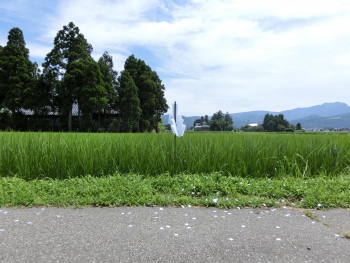 ファイル名: CIMG0856.jpg
ファイルサイズ: 86KB CIMG0856
