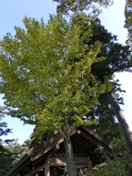 ファイル名: CIMG1647.jpg
ファイルサイズ: 111.9KB CIMG1647