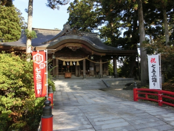 ファイル名: CIMG1648.jpg
ファイルサイズ: 106.8KB CIMG1648
