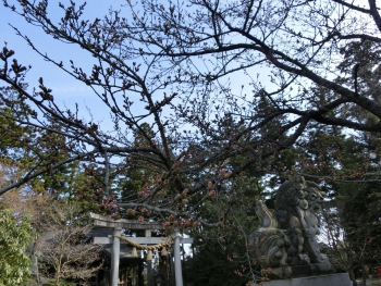 ファイル名: CIMG2329.jpg
ファイルサイズ: 127.2KB CIMG2329