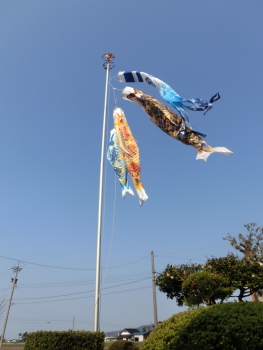 ファイル名: CIMG2446.jpg
ファイルサイズ: 57.8KB CIMG2446