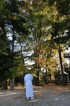 ファイル名: rsCIMG3753.jpg
ファイルサイズ: 104.5KB rsCIMG3753
