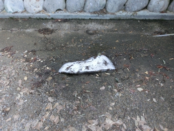 ファイル名: rsCIMG5276.jpg
ファイルサイズ: 104.7KB rsCIMG5276