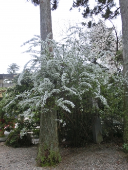 ファイル名: rsCIMG5427.jpg
ファイルサイズ: 100.7KB rsCIMG5427