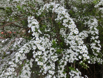ファイル名: rsCIMG5428.jpg
ファイルサイズ: 131KB rsCIMG5428