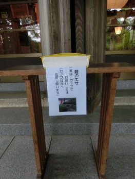 rsCIMG5490